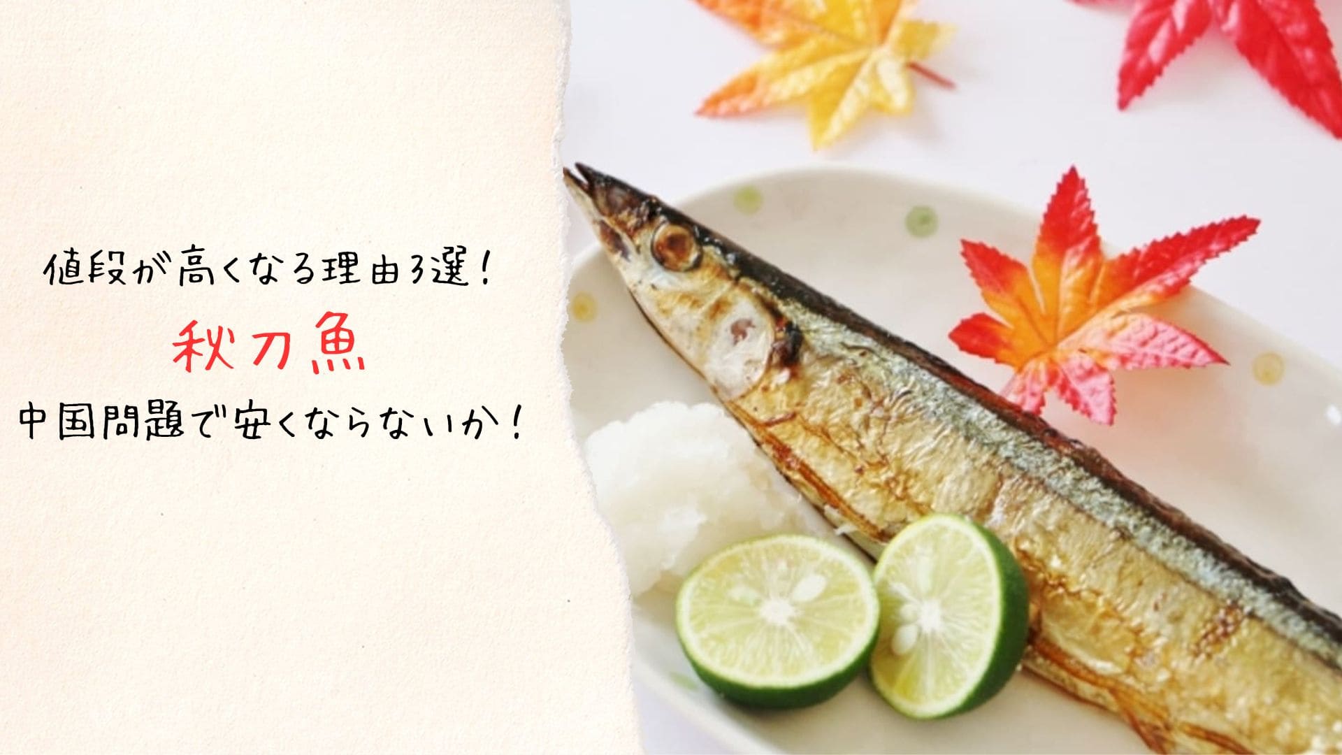 秋刀魚の値段が高くなると言われる理由3選！中国問題で安くなることはないか！